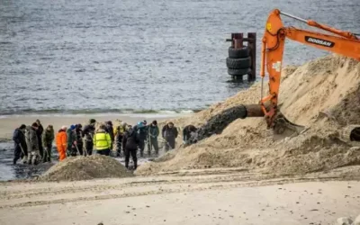 VI WARSZTATY GEOLOGICZNE PSGG